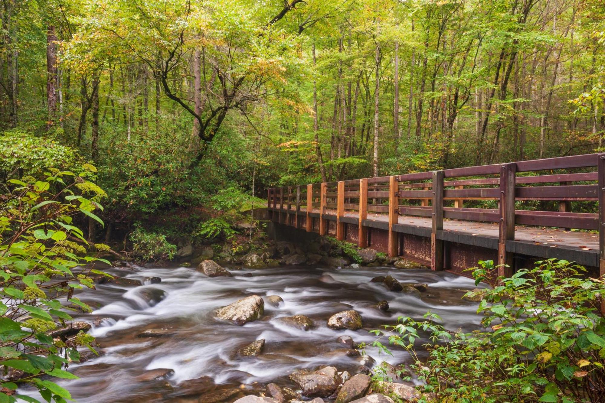 Wilderness Lodge, Hot Tub, Game Room, Pool Access, 1089 Free Tickets Each Paid Day, Dollywood And M Sevierville Kültér fotó